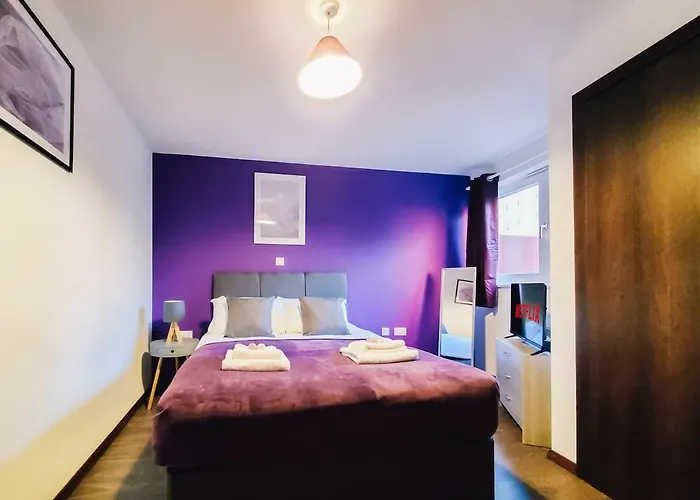 Apartment Near Nec, Bhx, Bullring & Solihull